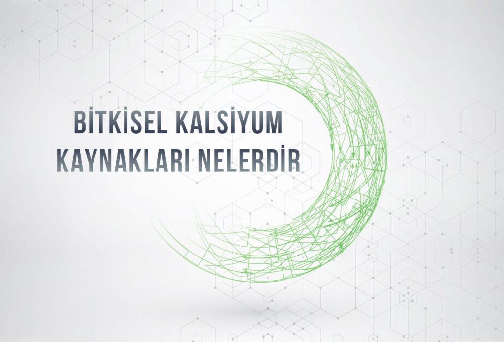 Bitkisel Kalsiyum Kaynakları Nelerdir