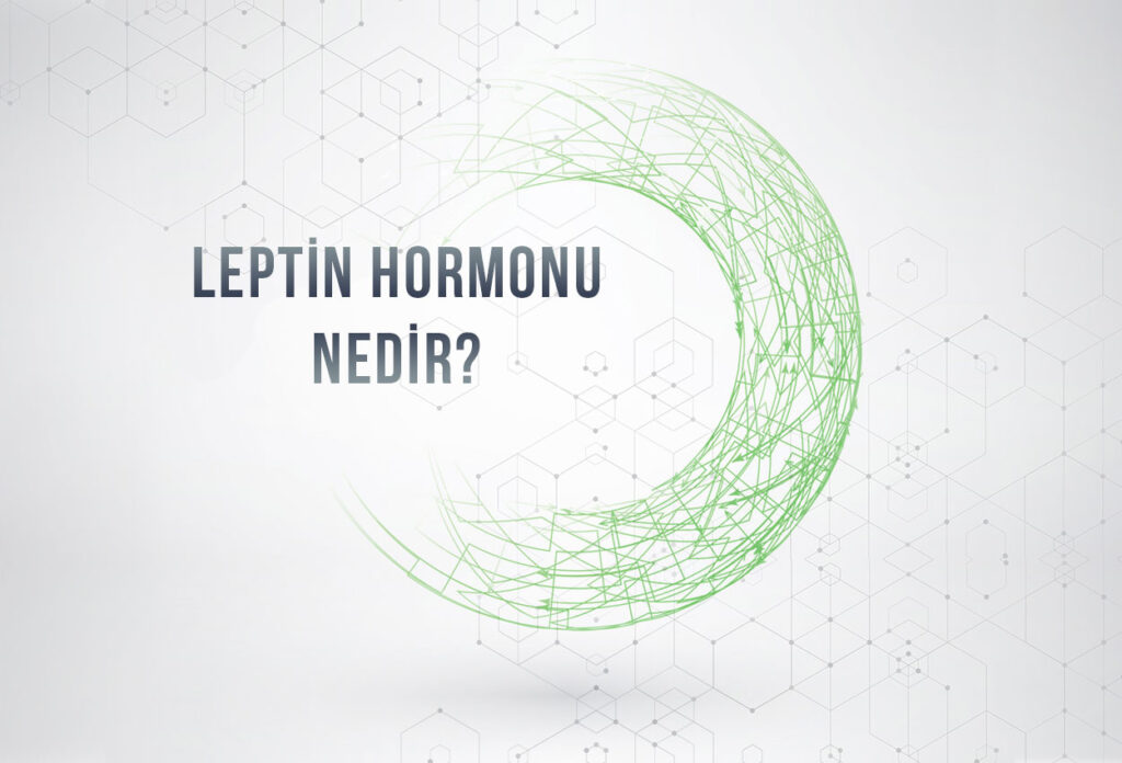 Leptin Hormunu Nedir?
