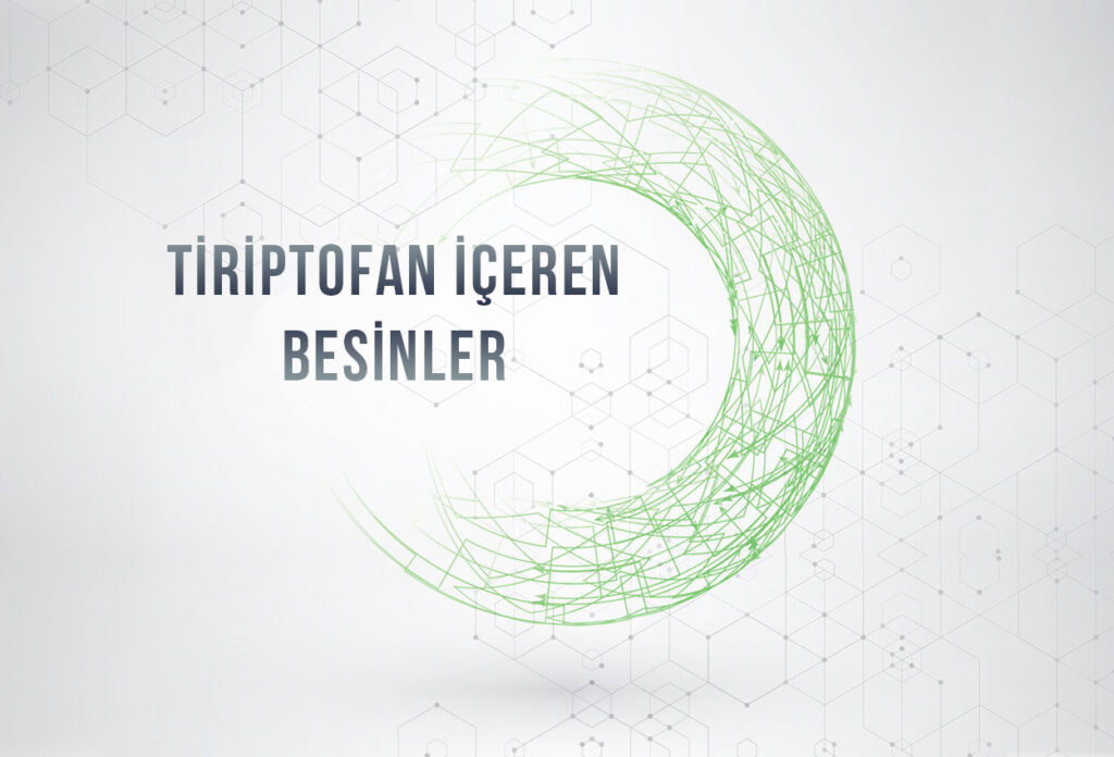 Triptofan İçeren Besinler